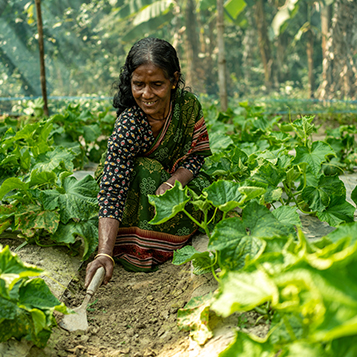 Women SHG